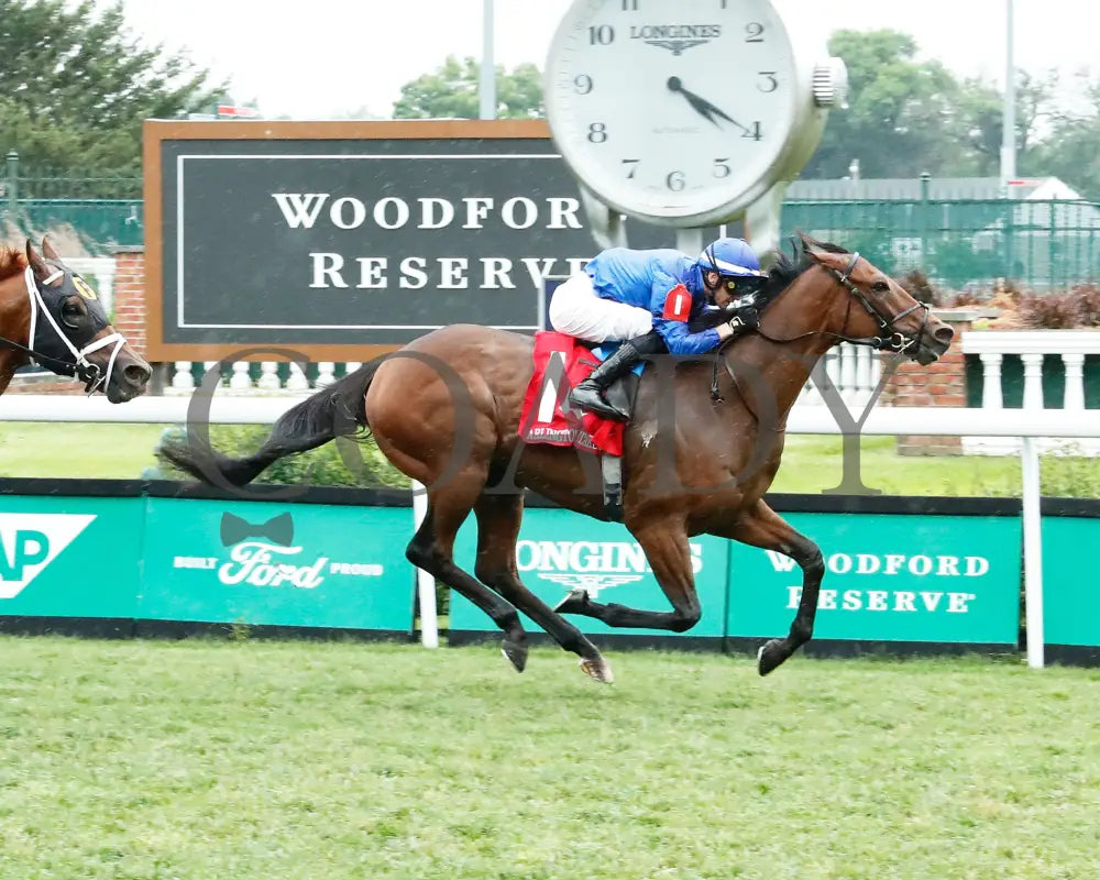 Ottoman Fleet - The Arlington Stakes 88Th Running 06-01-24 R06 Cd Finish 01 Churchill Downs