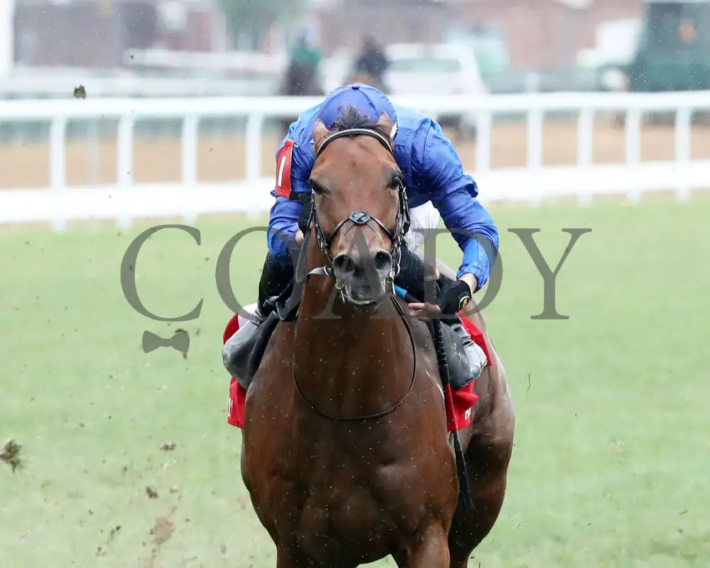 Ottoman Fleet - The Arlington Stakes 88Th Running 06-01-24 R06 Cd Inside Finish 01 Churchill Downs