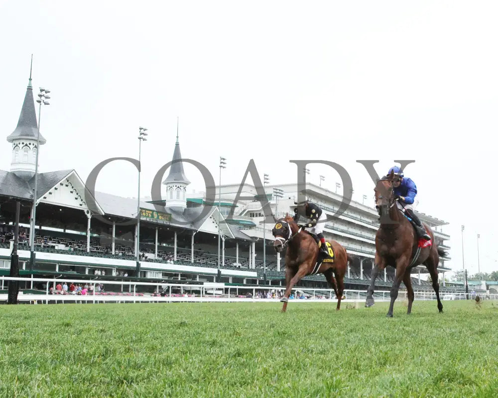 Ottoman Fleet - The Arlington Stakes 88Th Running 06-01-24 R06 Cd Under Rail 01 Churchill Downs