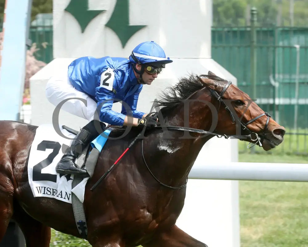 Ottoman Fleet - The Wise Dan G2 06-29-24 R07 Cd Tight Finish 02 Churchill Downs