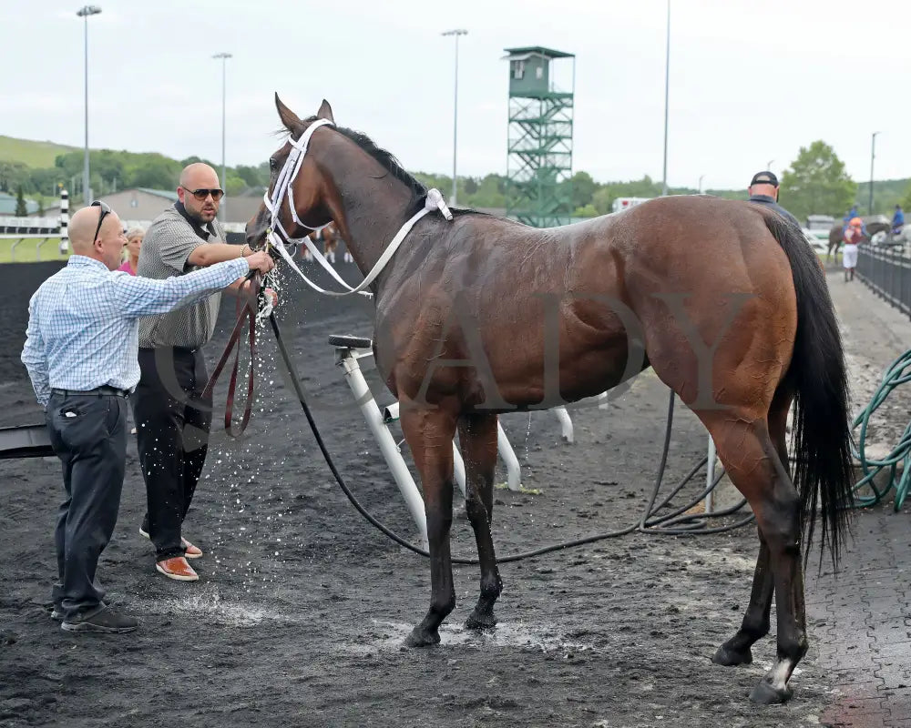 OUR LADY - The Malvern Rose Stakes - 19th Running - 07-07-25 - R07 - Presque Isle Downs - Bath Presque Isle Downs