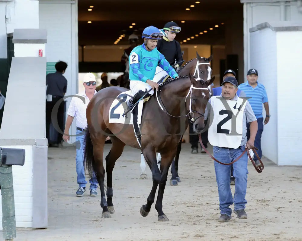 Our Pretty Woman - The Monomoy Girl Overnight Stakes 3Rd Running 06-15-24 R05 Cd Post Parade 02