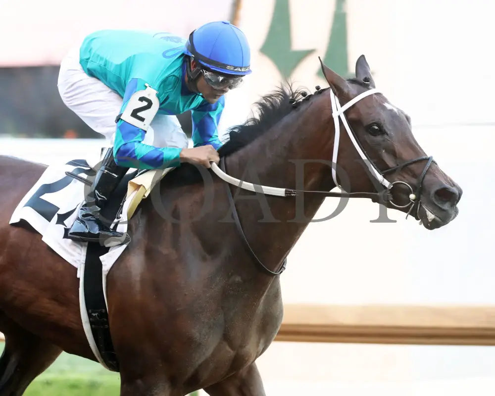 Our Pretty Woman - The Monomoy Girl Overnight Stakes 3Rd Running 06-15-24 R05 Cd Tight Finish 01