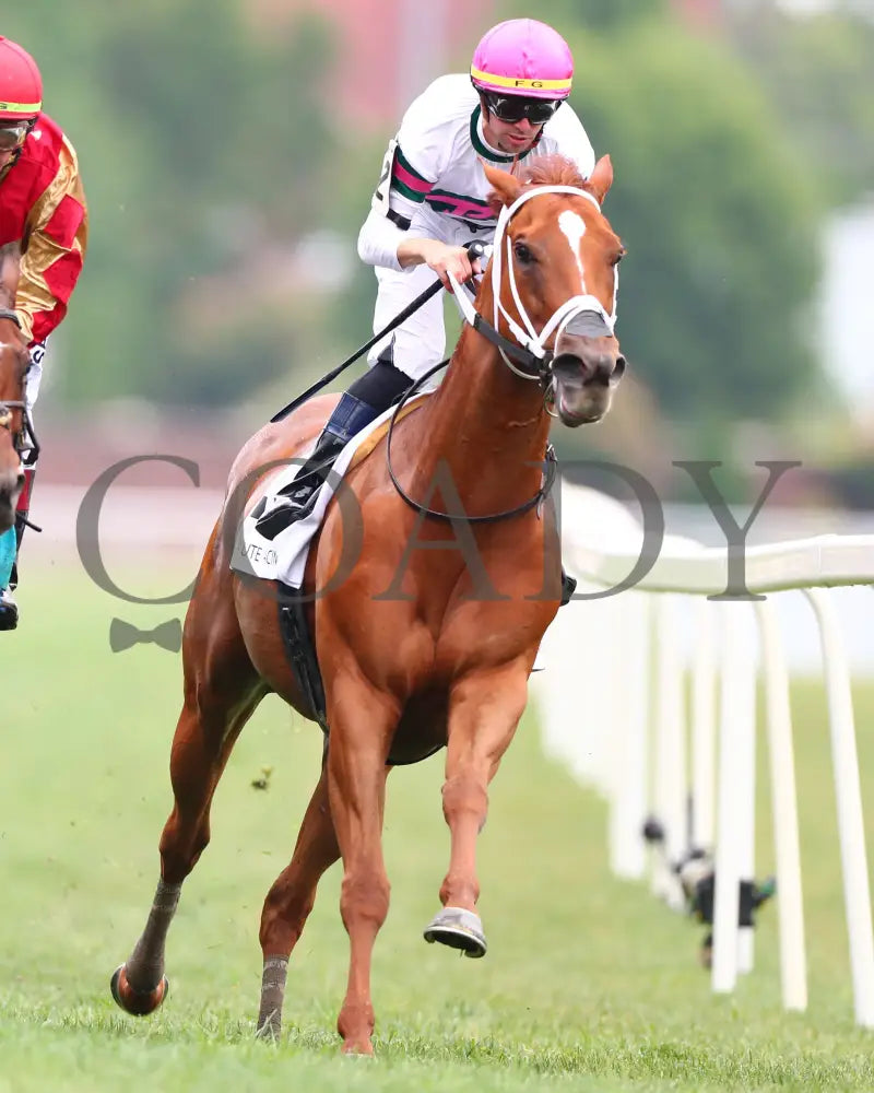 Ova Charged - The Unbridled Sidney G3 05-03-24 R06 Cd Head On 02 Churchill Downs