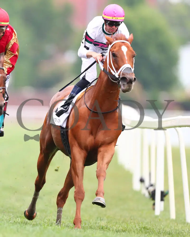 Ova Charged - The Unbridled Sidney G3 05-03-24 R06 Cd Head On 03 Churchill Downs
