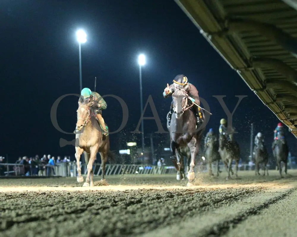 Overnight Pow Wow - West Virginia Cavada Breeders Classic 10-12-24 R07 Ct Under Rail 01 Hollywood