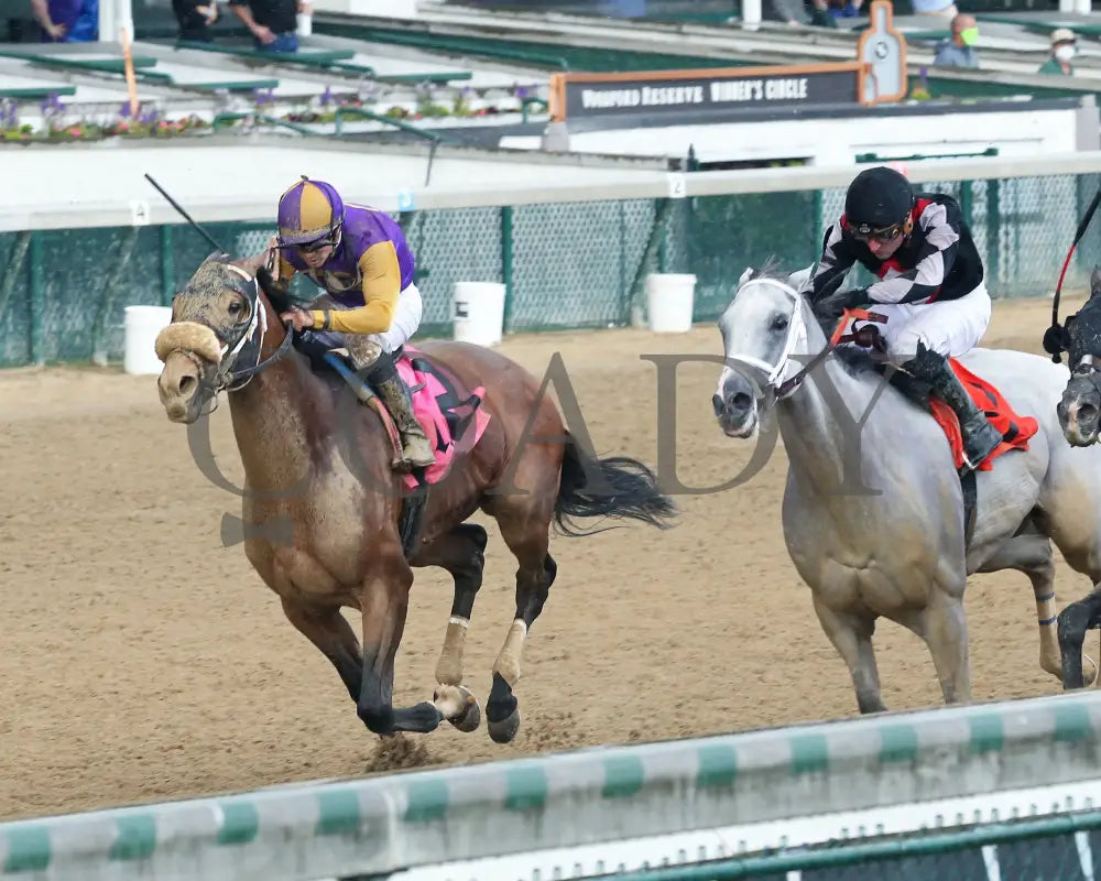 Owendale - The Blame 1St Running 05-23-20 R09 Cd Inside Finish 01 Churchill Downs