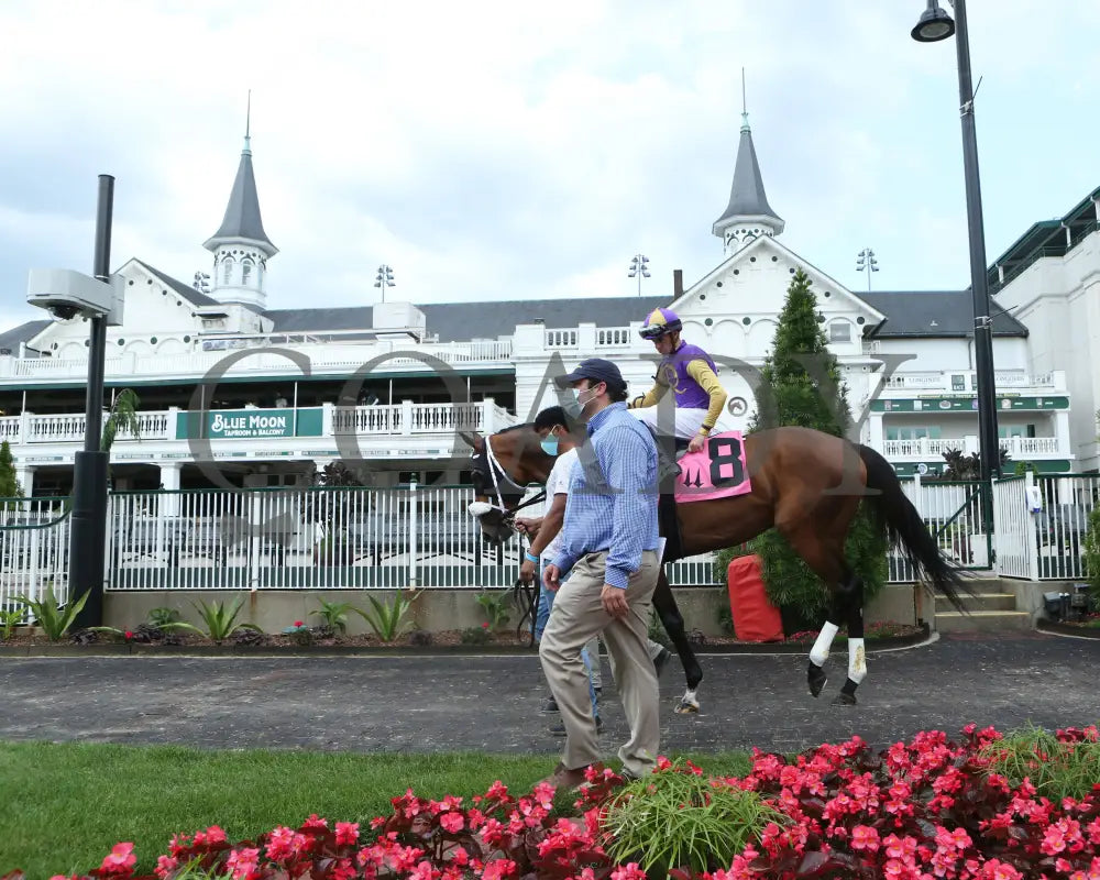 Owendale - The Blame 1St Running 05-23-20 R09 Cd Paddock 02 Churchill Downs