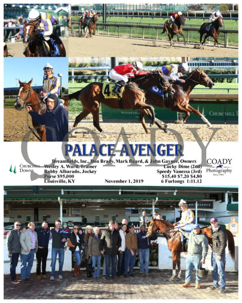 Palace Avenger - 11-01-19 R07 Cd Churchill Downs