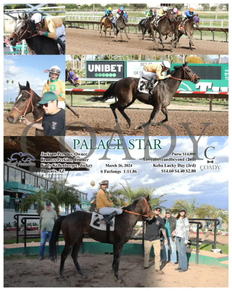 Palace Star - 03 - 26 - 24 R07 Tup Turf Paradise