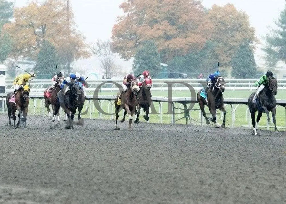 Papaw Bodie - 1 102611 Race 05 Keeneland