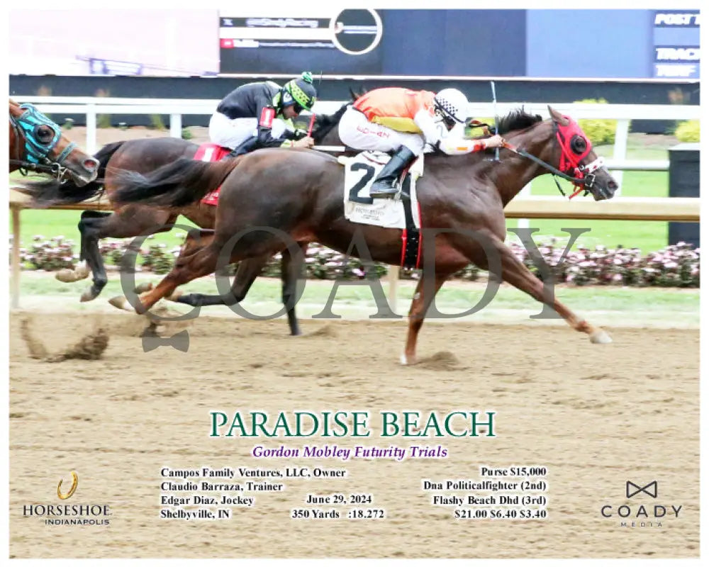 Paradise Beach - Gordon Mobley Futurity Trials 06-29-24 R04 Ind Action Indiana Grand