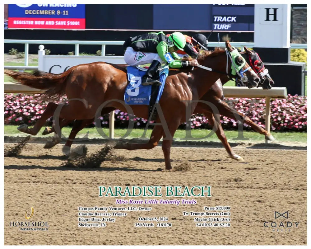 Paradise Beach - Miss Roxie Little Futurity Trials 10-05-24 R06 Ind Action Indiana Grand