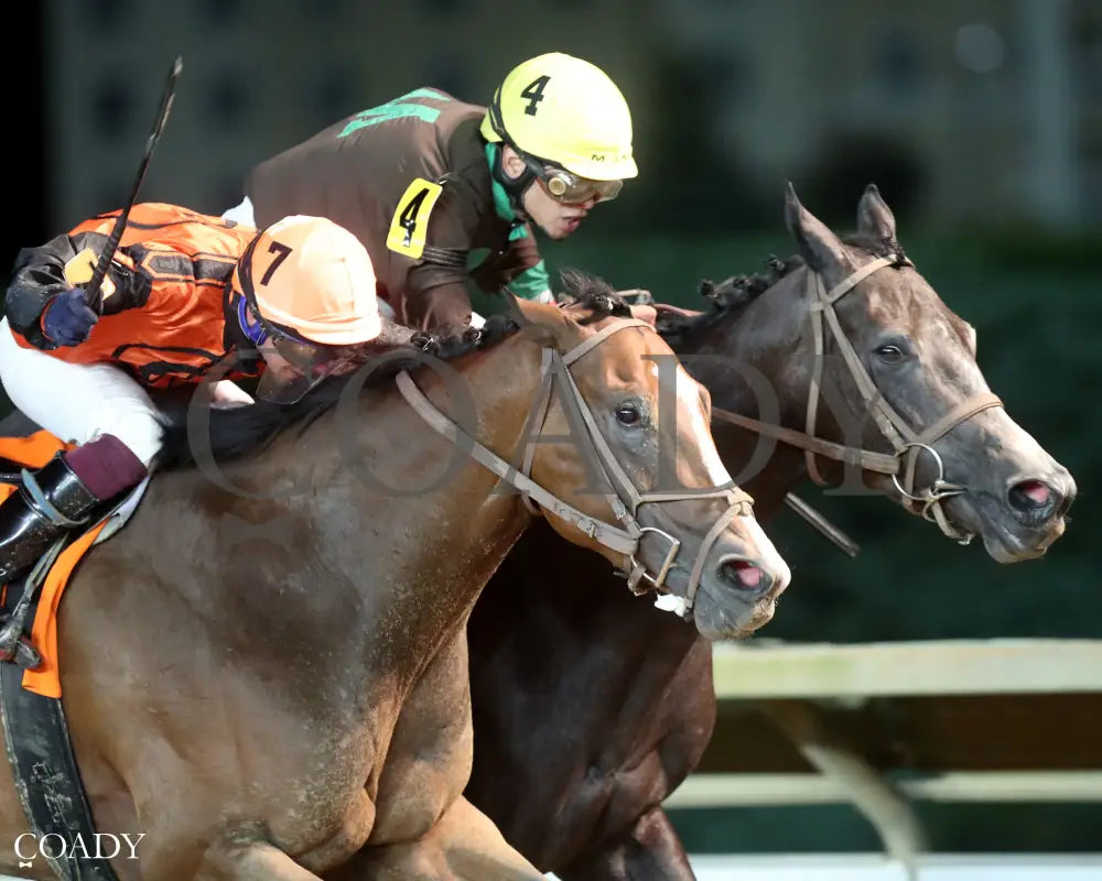 PARTY TIME FOR ME - Autumn WVB Overnight - 08-22-25 - R12 - CT - Finish 03 Hollywood Casino at Charles Town Races
