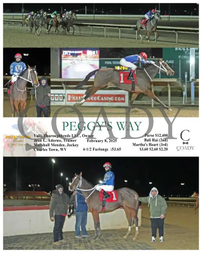 Peggy’s Way - 02-08-25 R01 Ct Hollywood Casino At Charles Town Races
