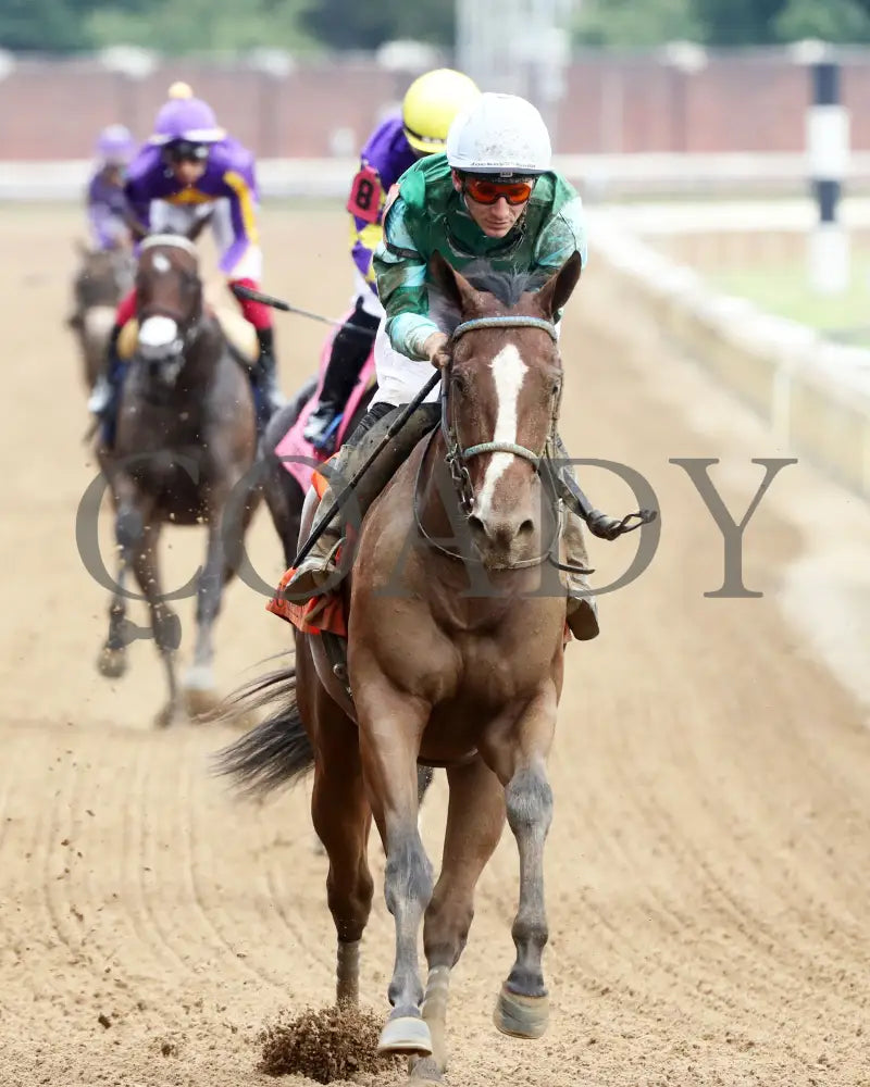 PERCY'S BAR - 062925 - Race 07 - CD - Gallop Out 01 - Coady Media - Kurtis Coady Photography