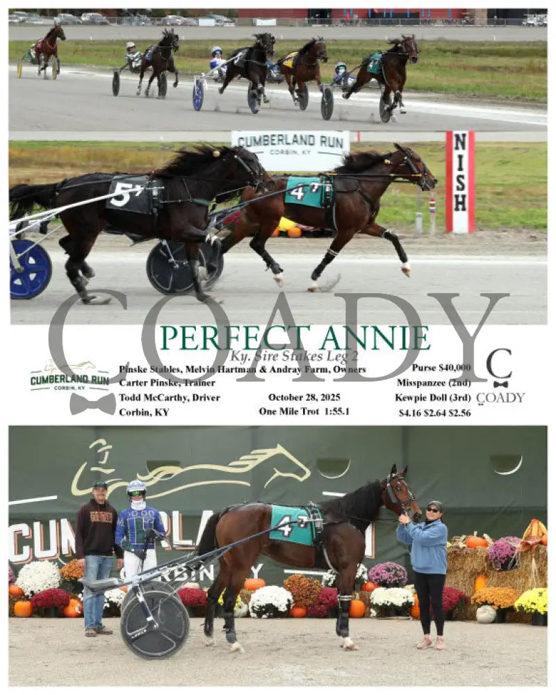 PERFECT ANNIE - 102825 - Race 07 - CMR Presque Isle Downs