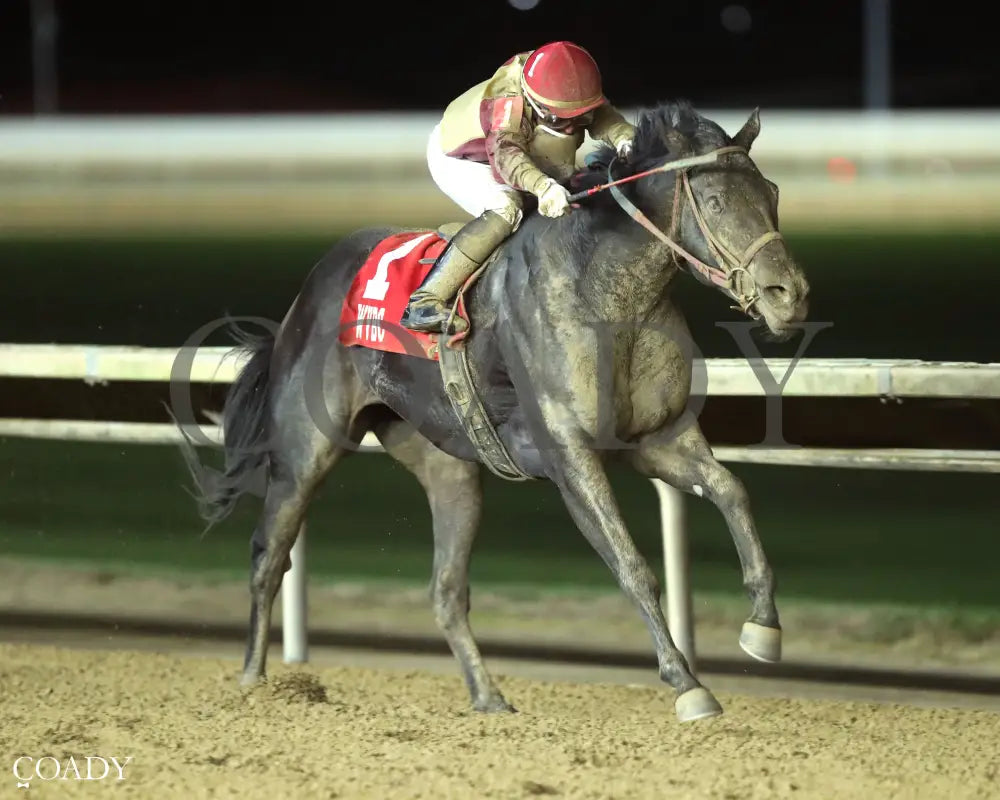 PETTY PERFECT - West Virginia Cavada Breeders’ Classic Stakes - 10-11-25 - R08 - CT - Finish 02 Hollywood Casino at