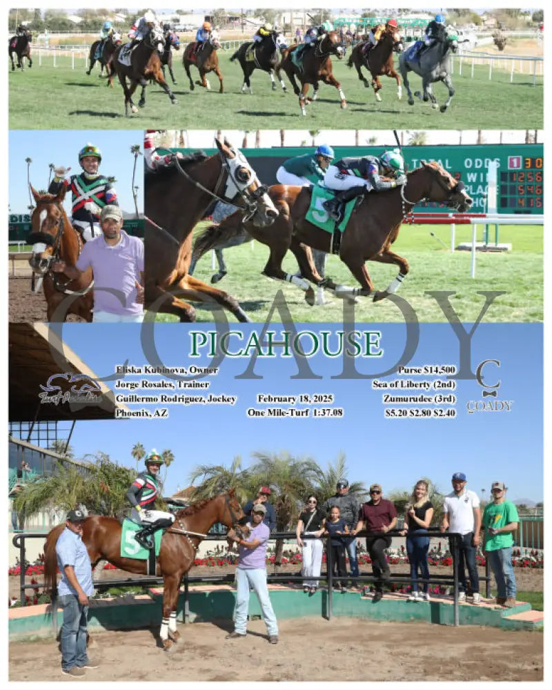 PICAHOUSE - 02-18-25 - R04 - TUP Turf Paradise