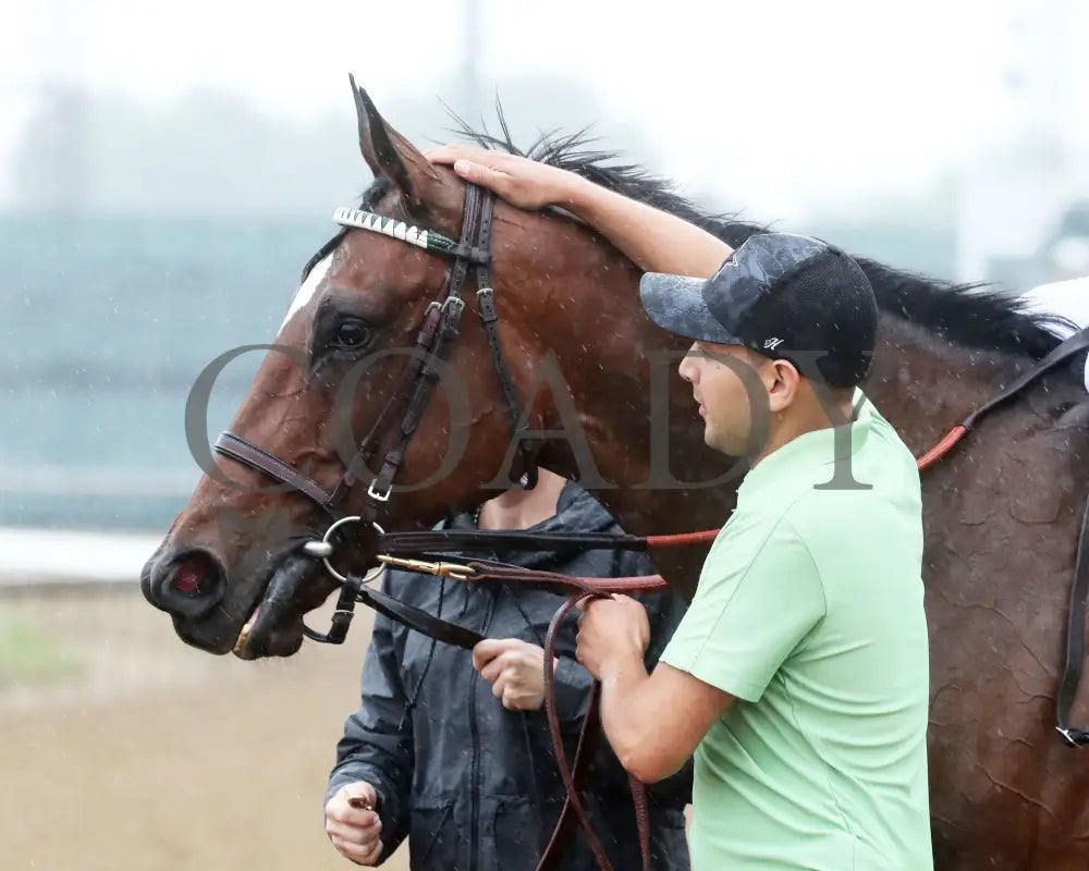 Pin Up Betty - The Regret G3 55Th Running 06-01-24 R09 Cd Come Back 02 Churchill Downs