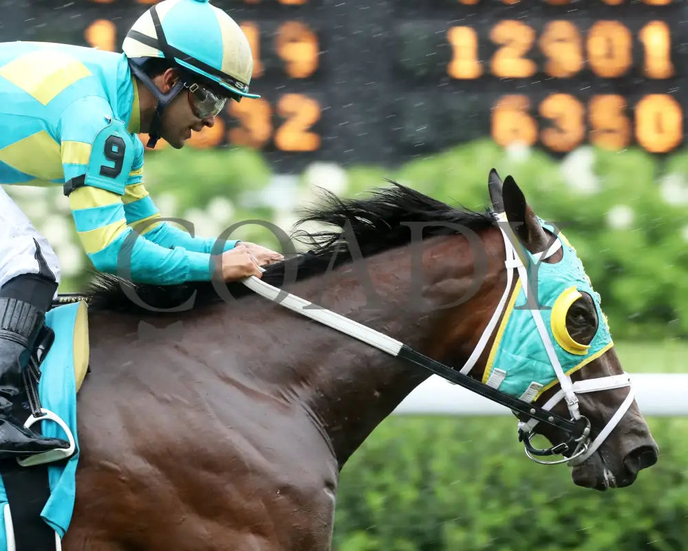 Pin Up Betty - The Regret G3 55Th Running 06-01-24 R09 Cd Gallop Out 01 Churchill Downs