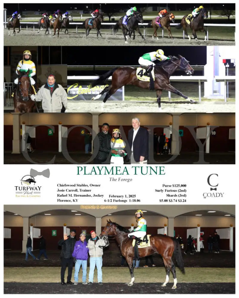Playmea Tune - The Forego 02-01-25 R07 Tp Turfway Park