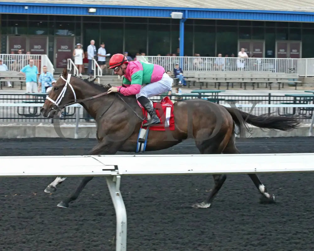 Ponce De Leon - The Tom Ridge Stakes 18Th Running 06-17-24 R07 Pid Inside Finish Presque Isle Downs