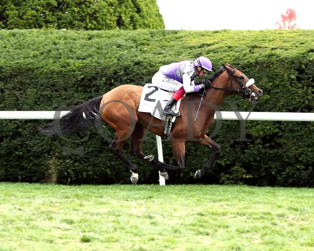 Poolside With Slim - The Bank Of America Valley View G2 34Th Running 10-25-24 R09 Keeneland Race