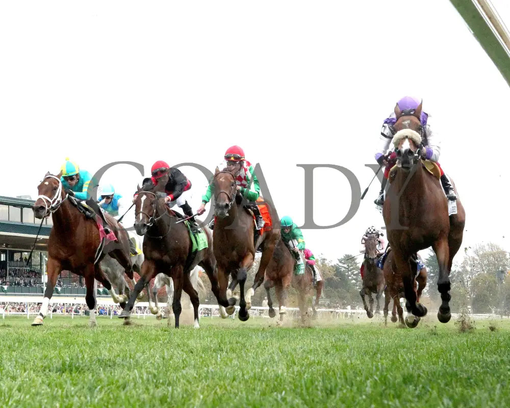 Poolside With Slim - The Bank Of America Valley View G2 34Th Running 10-25-24 R09 Keeneland Race