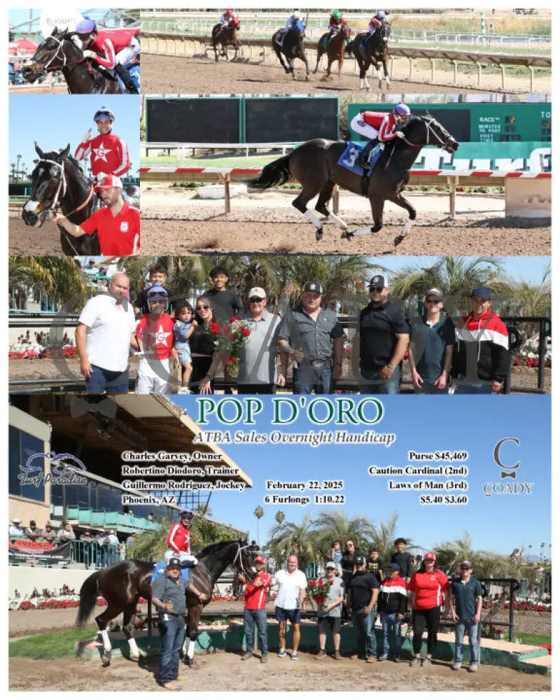 POP D’ORO - ATBA Sales Overnight Handicap - 02-22-25 - R02 - TUP Turf Paradise