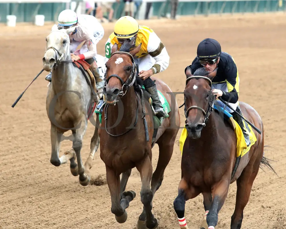 POSITANO SUNSET - The Open Mind - 16th Running - 09-13-25 - R09 - CD - Inside Finish 02 - Coady Media - Kurtis Coady Photography