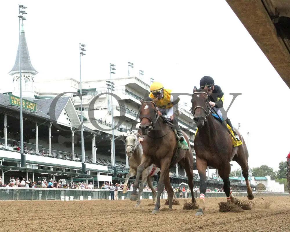 POSITANO SUNSET - The Open Mind - 16th Running - 09-13-25 - R09 - CD - Under Rail 01 - Coady Media - Kurtis Coady Photography