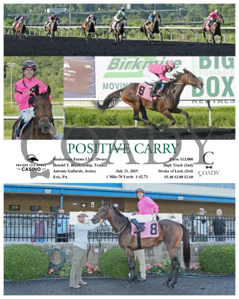 POSITIVE CARRY - 07-21-25 - R08 - PID Presque Isle Downs