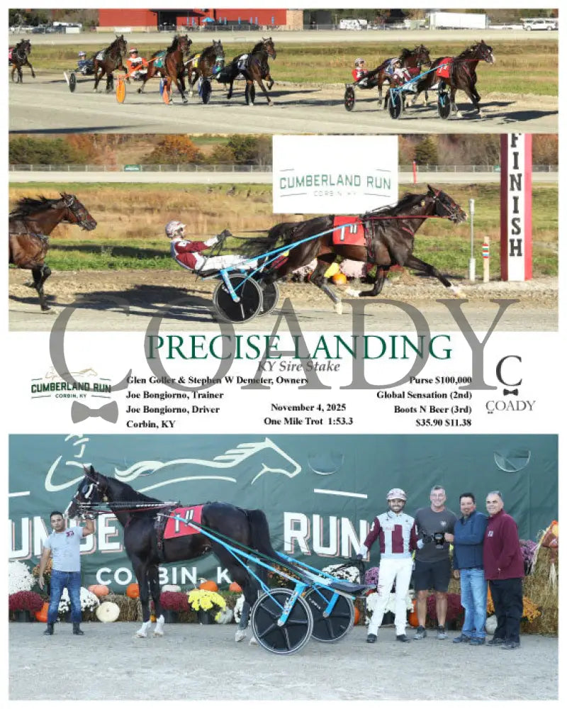 PRECISE LANDING - KY Sire Stake - 11-04-25 - R11 - CMR Presque Isle Downs