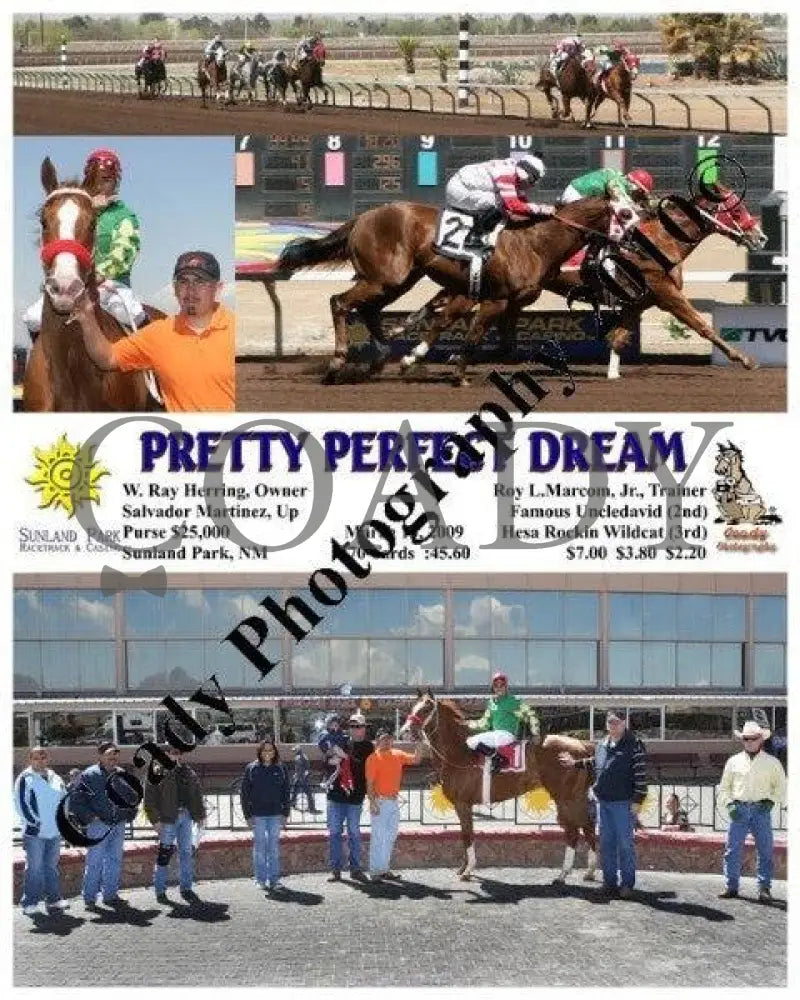 Pretty Perfect Dream - 3 13 2009 Sunland Park