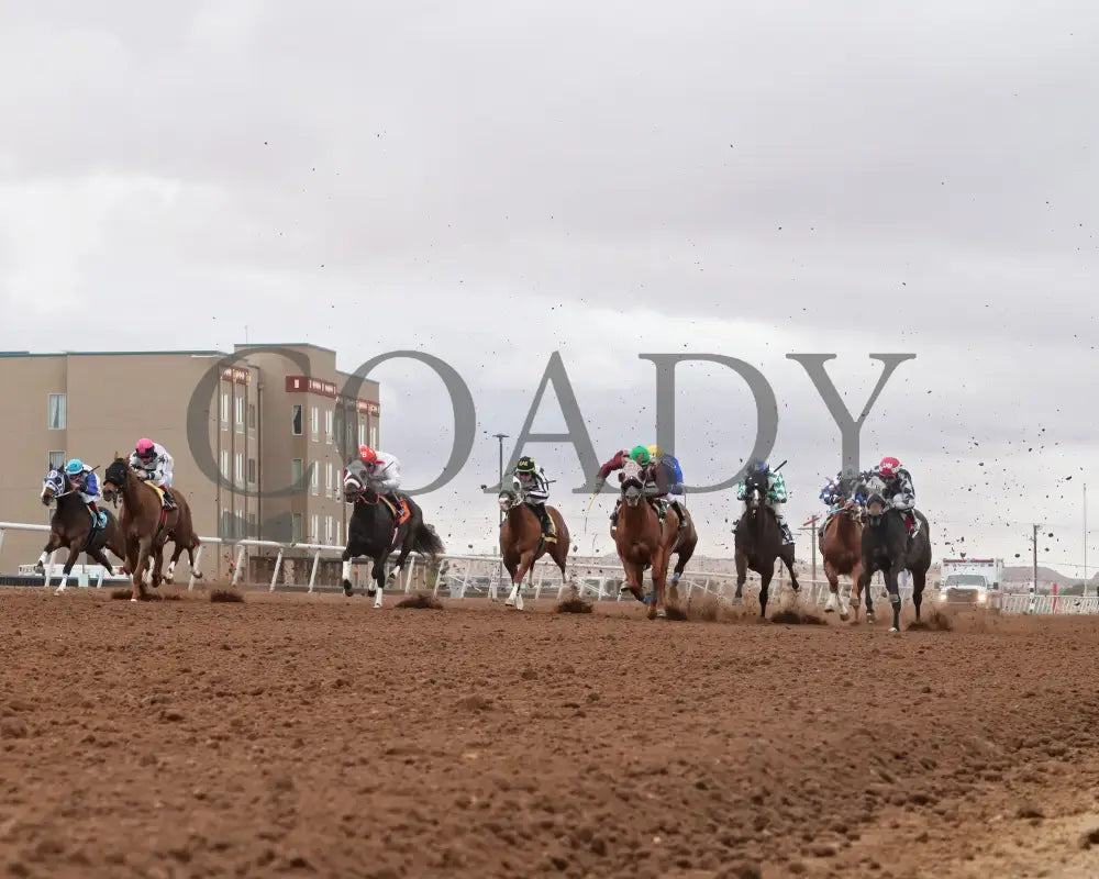 PREYING N SINNING - West Texas Juvenile Stakes-20th Rinning - 04-05-25 - R08 - Sunland Park - Under Rail Sunland Park