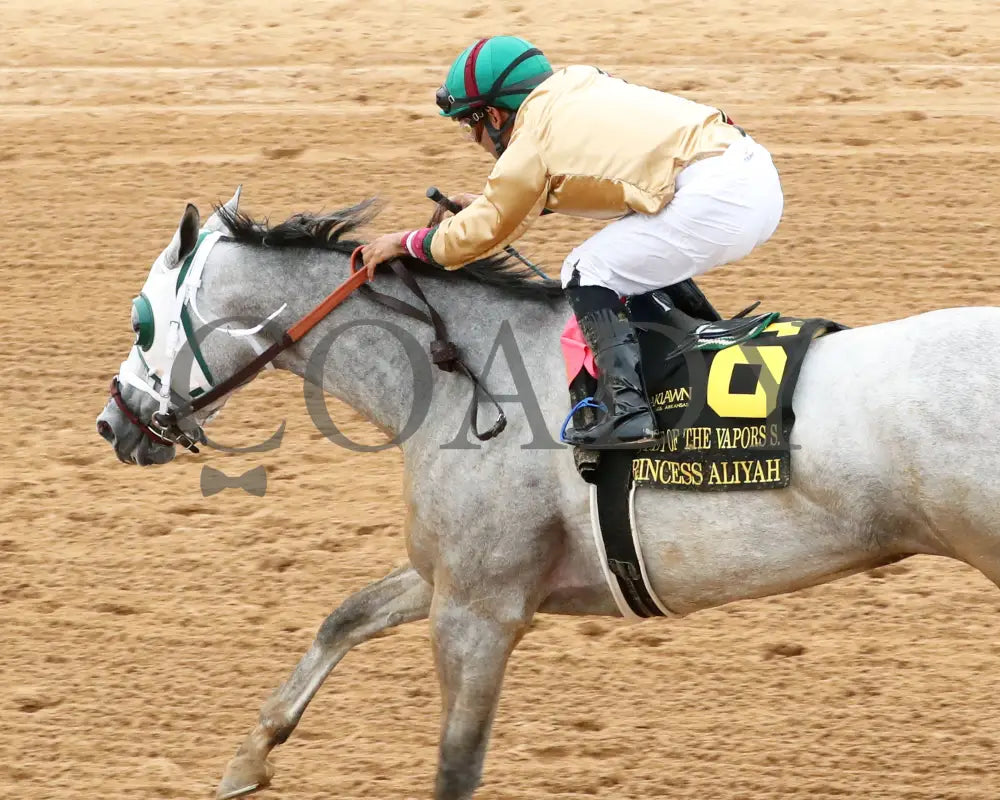 PRINCESS ALIYAH - The Valley Of The Vapors Stakes - 04-19-25 - R10 - OP - Inside Finish 03 Oaklawn Park