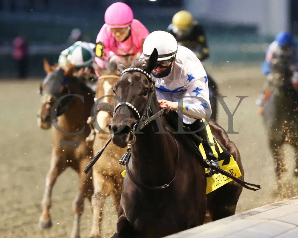 Princess Grace - The Mrs. Revere G2 30Th Running 11-14-20 R10 Cd Inside Finish 01 Churchill Downs