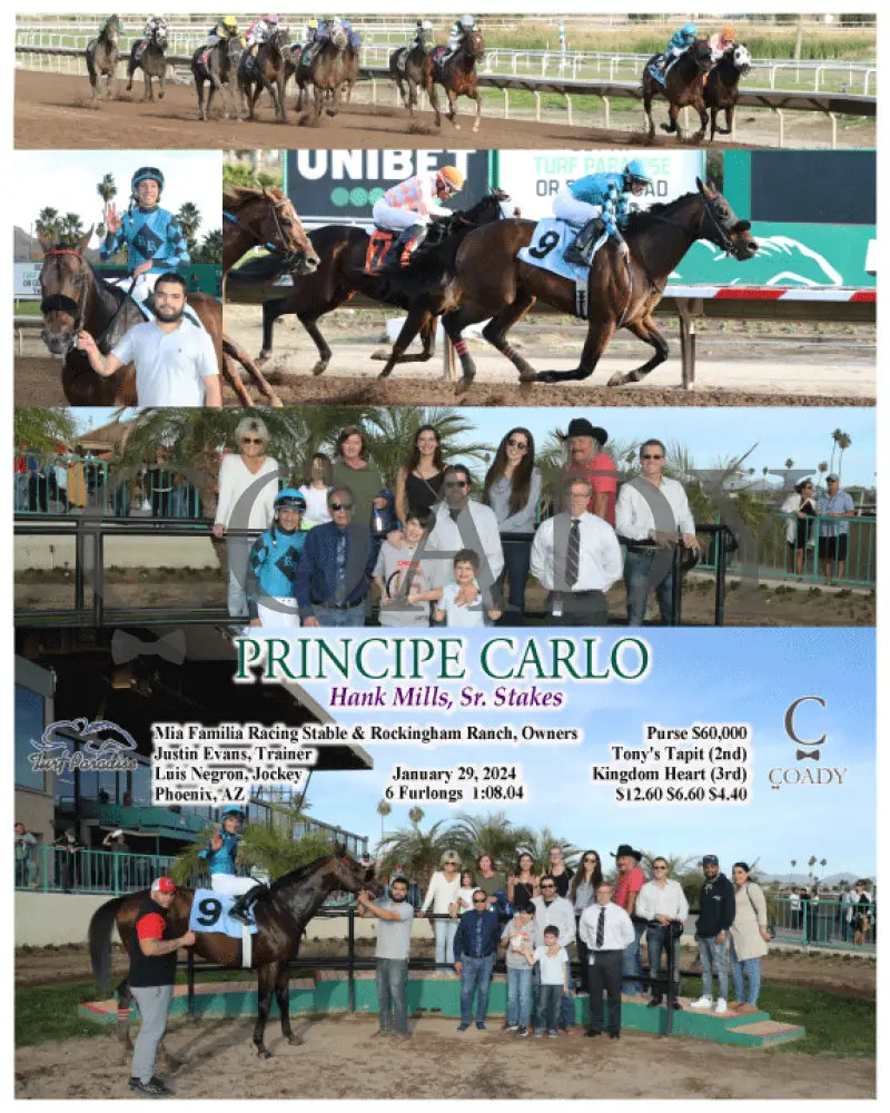 Principe Carlo - Hank Mills Sr. Stakes 01-27-24 R08 Tup Turf Paradise
