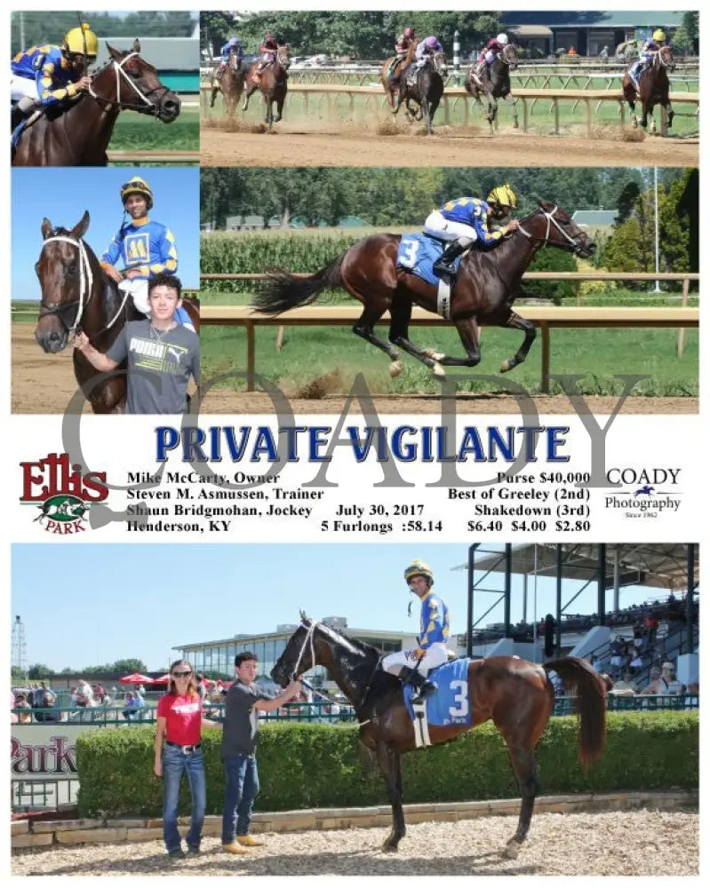 Private Vigilante - 073017 Race 06 Elp Ellis Park