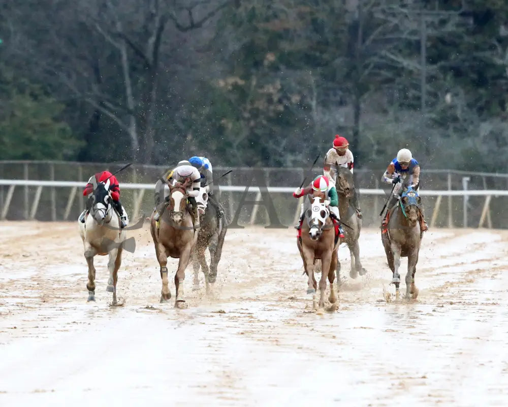Promise Keeper - The Fifth Season Stakes 35Th Running 01-27-24 R09 Op Head On 01 Oaklawn Park