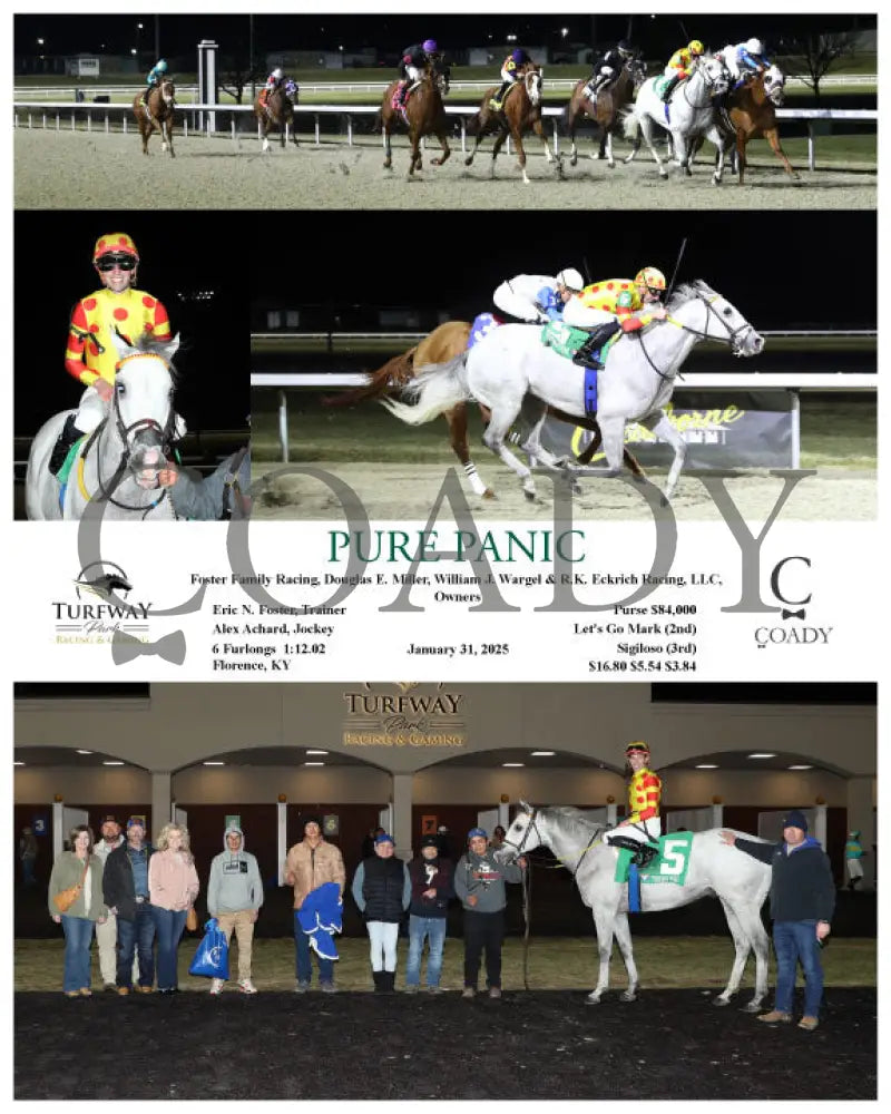 Pure Panic - 01-31-25 R06 Tp Turfway Park