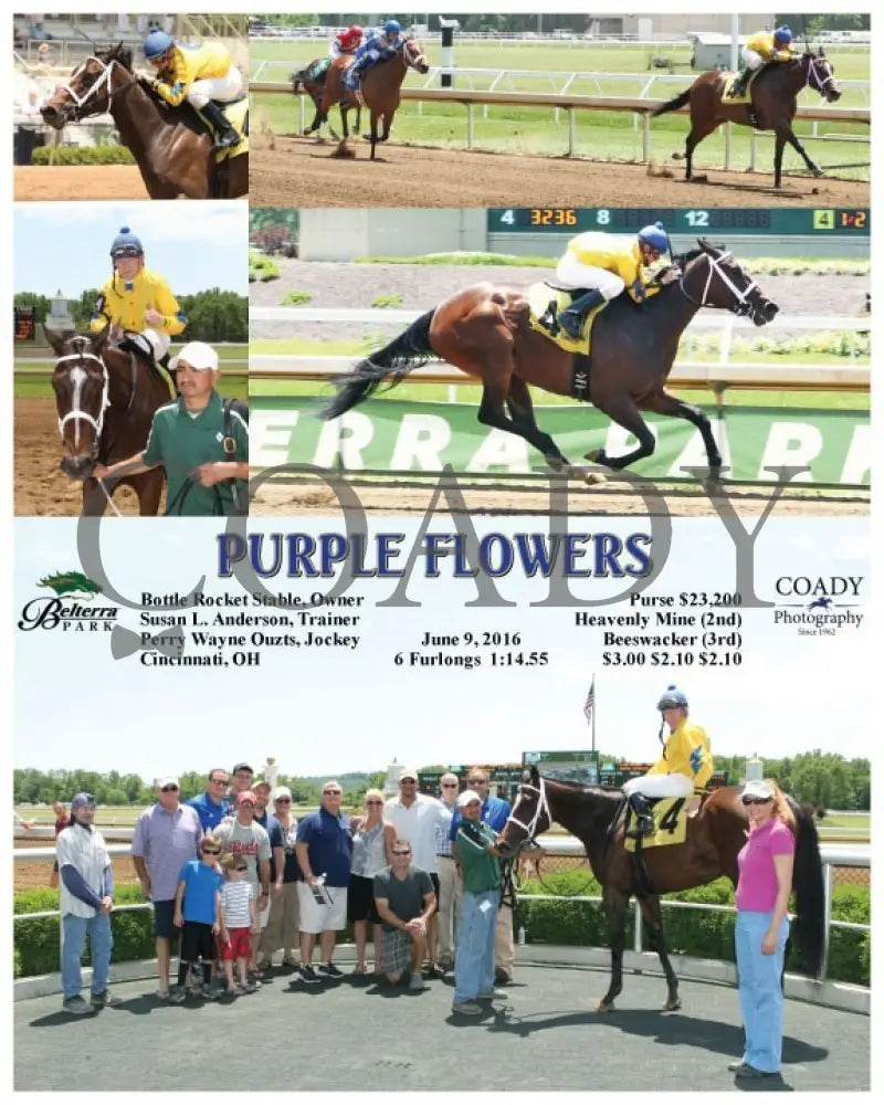 PURPLE FLOWERS - 060916 - Race 01 - BTP - Coady Media - Kurtis Coady Photography