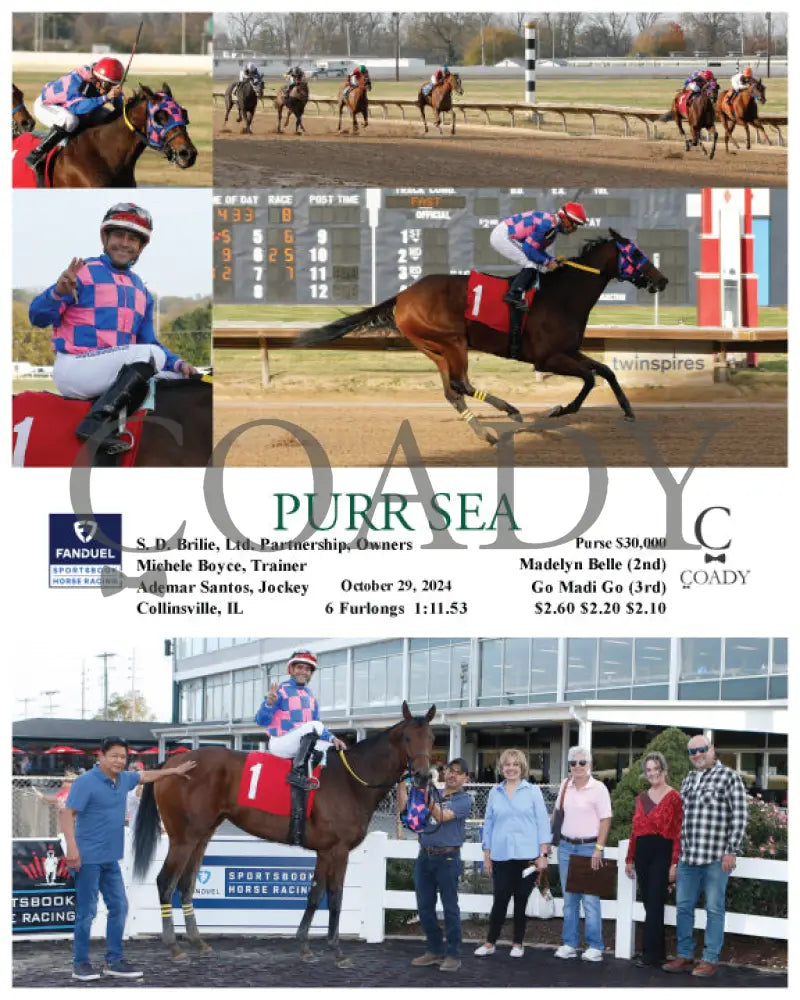 Purr Sea - 10-29-24 R08 Fan Fanduel Sportsbook Horse Racing