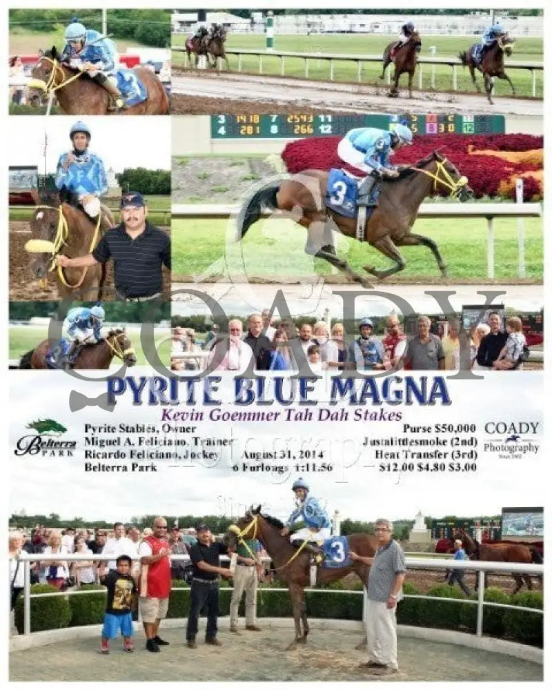 Pyrite Blue Magna - 083114 Race 07 Btp Belterra Park