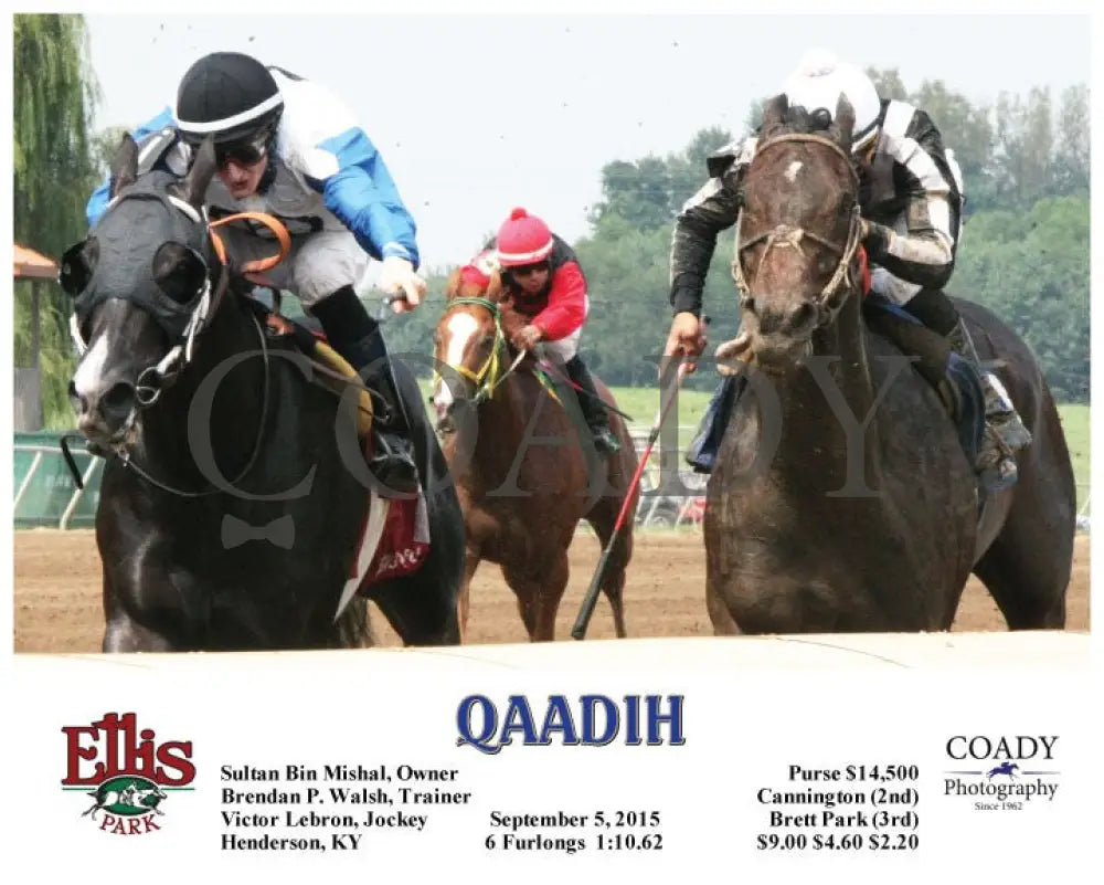 Qaadih - 090515 Race 03 Elp Ellis Park