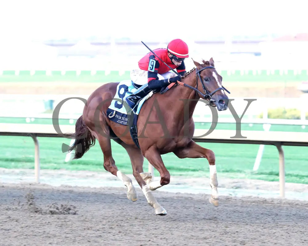 Q’S TOPNOTCH - Circle City - 25th Running - 10-01-25 - R10 - Horseshoe Indiana - Finish 02 - Devin Hall Indiana Grand