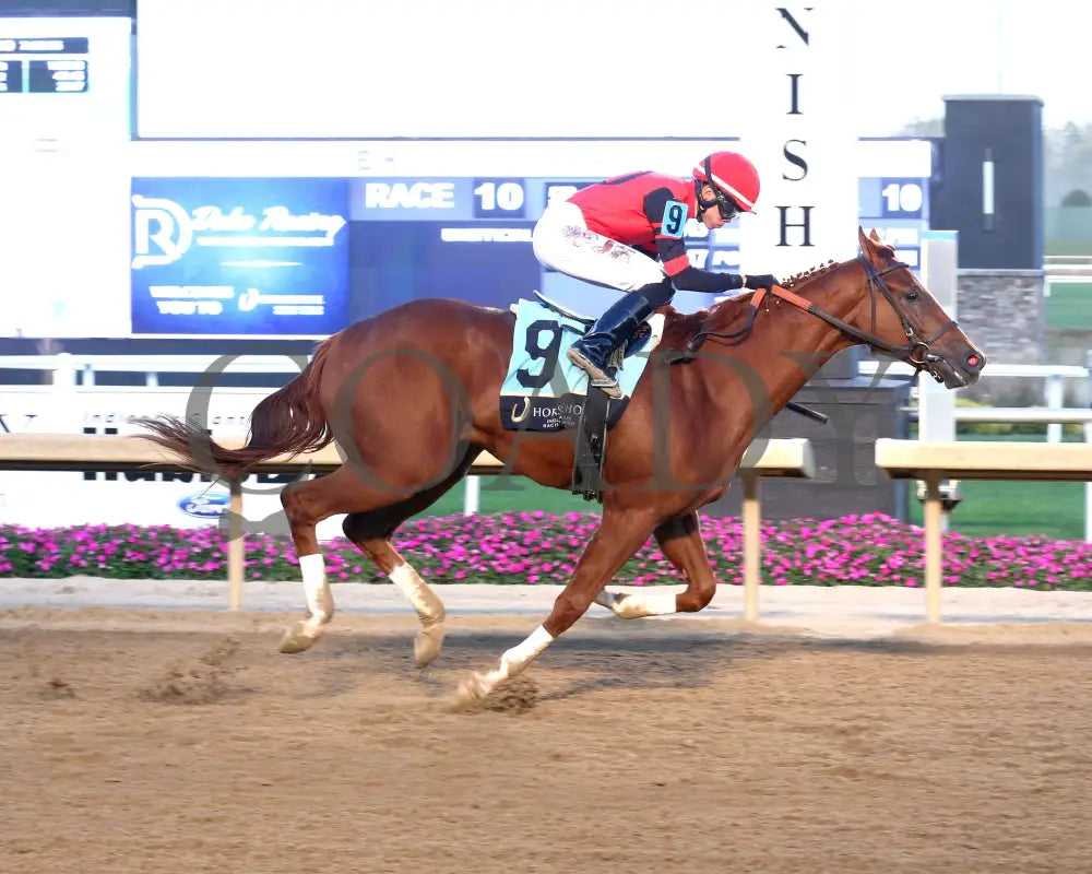 Q’S TOPNOTCH - Circle City - 25th Running - 10-01-25 - R10 - Horseshoe Indiana - Finish 01 Indiana Grand