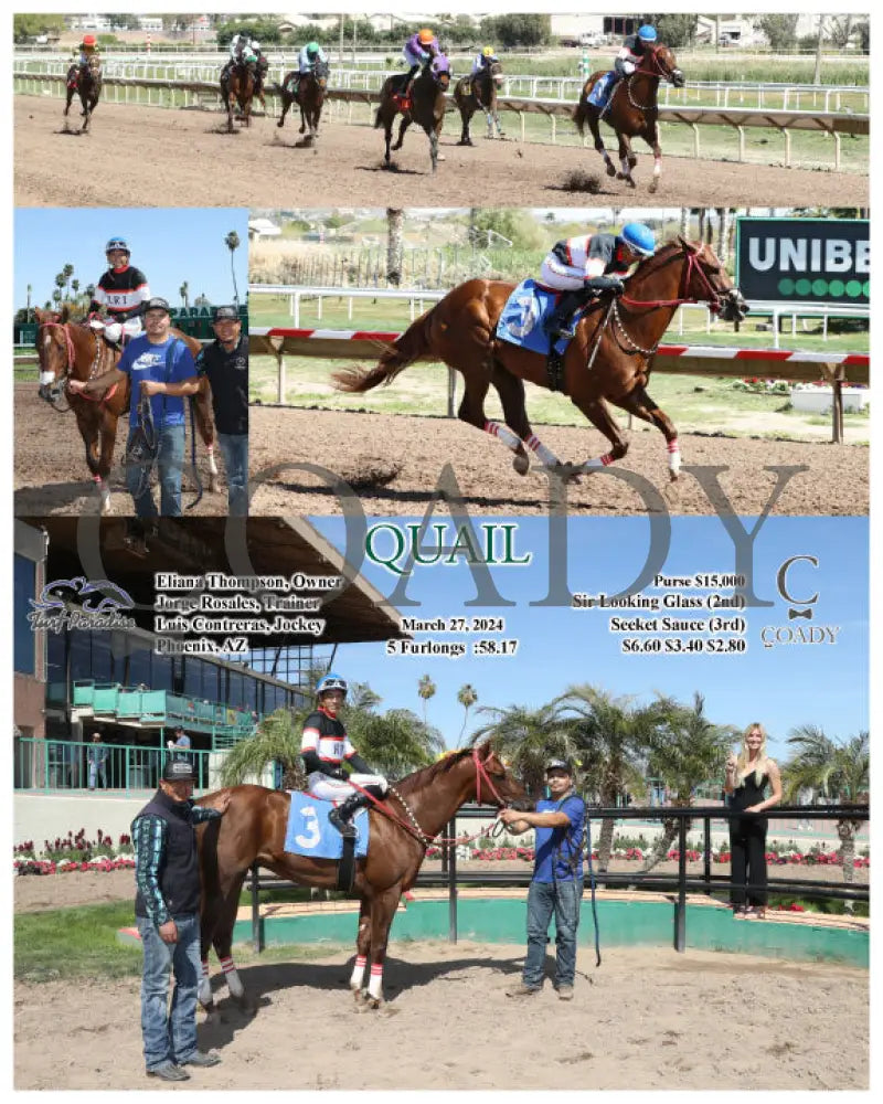 Quail - 03 - 27 - 24 R03 Tup Turf Paradise