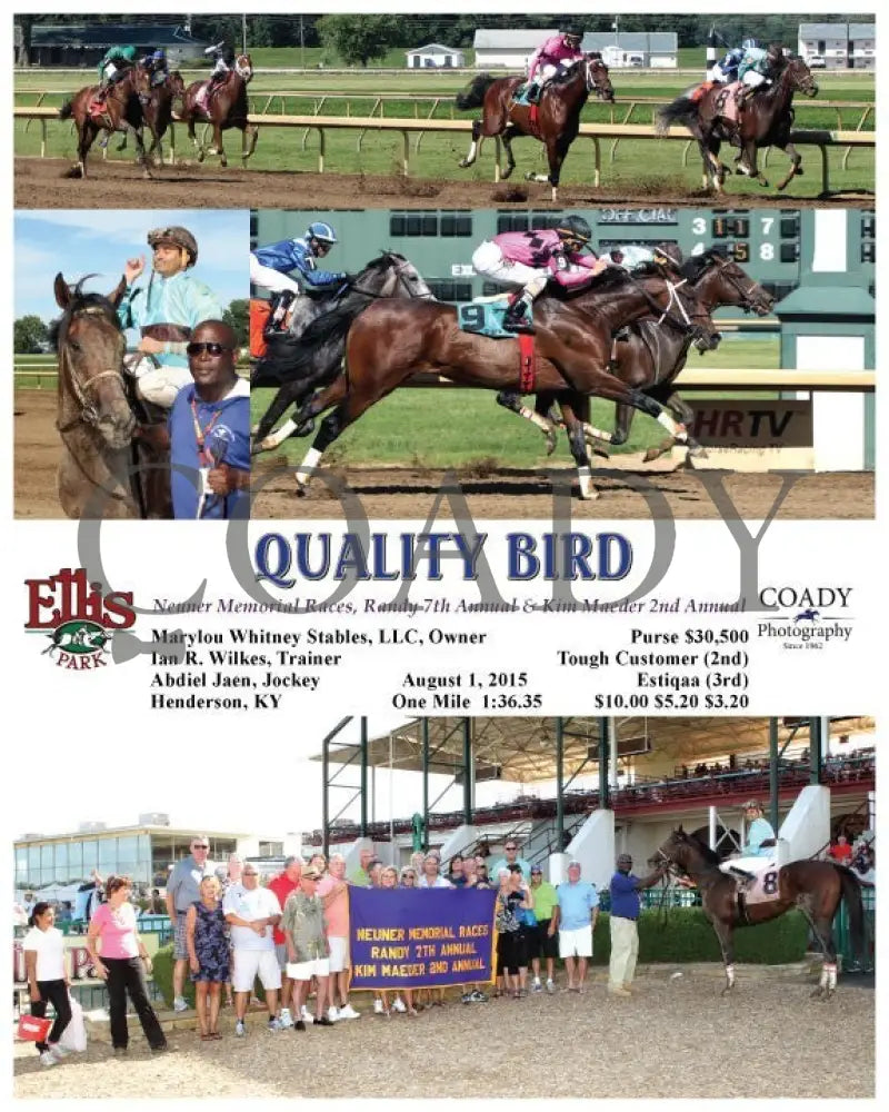 Quality Bird - 080115 Race 08 Elp Ellis Park